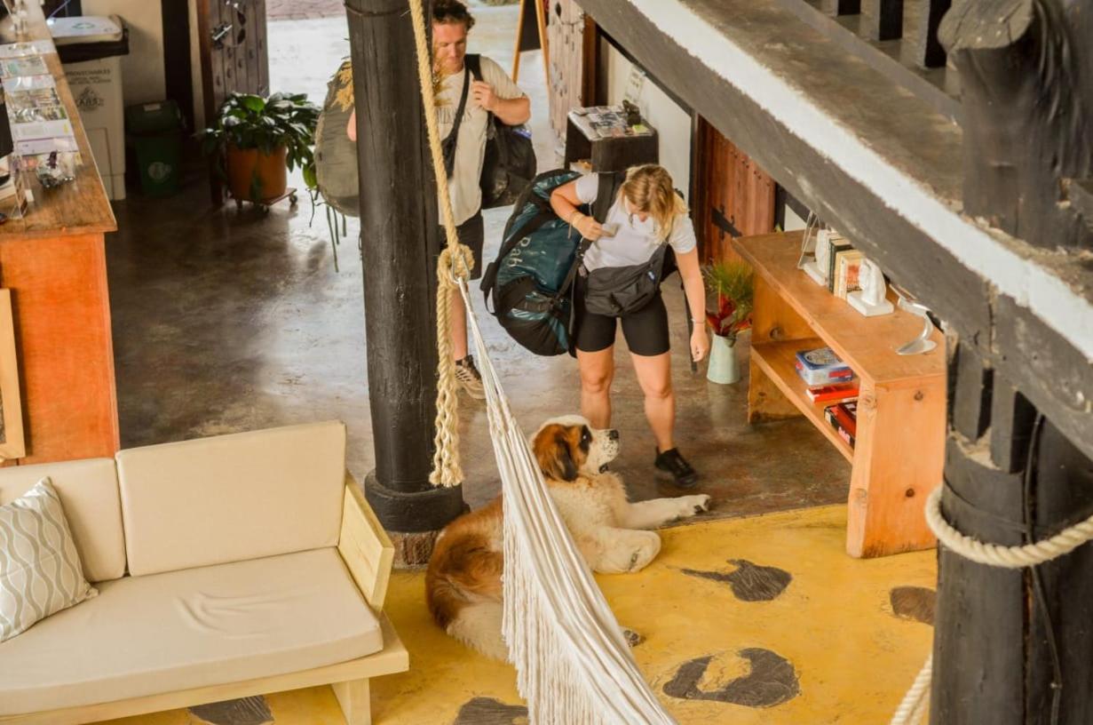 Coffee Tree Boutique Hostel Саленто Экстерьер фото