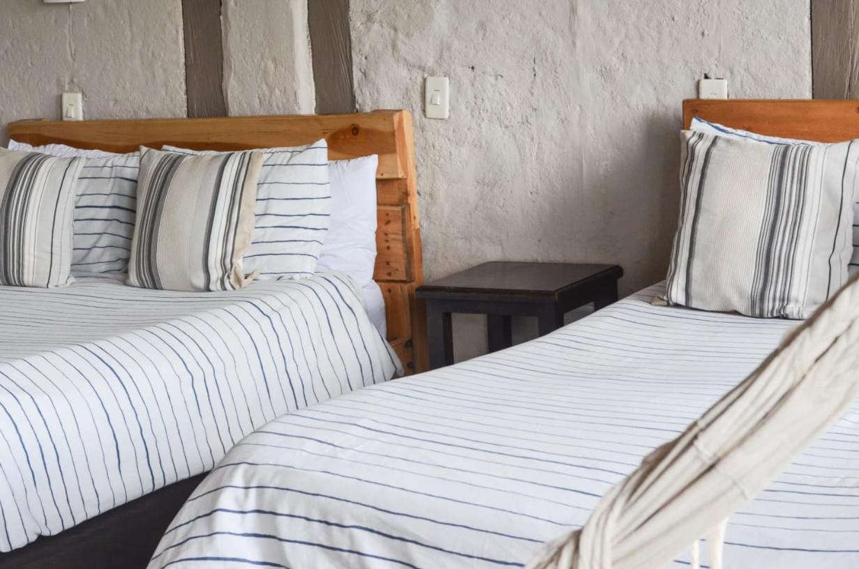 Coffee Tree Boutique Hostel Саленто Экстерьер фото