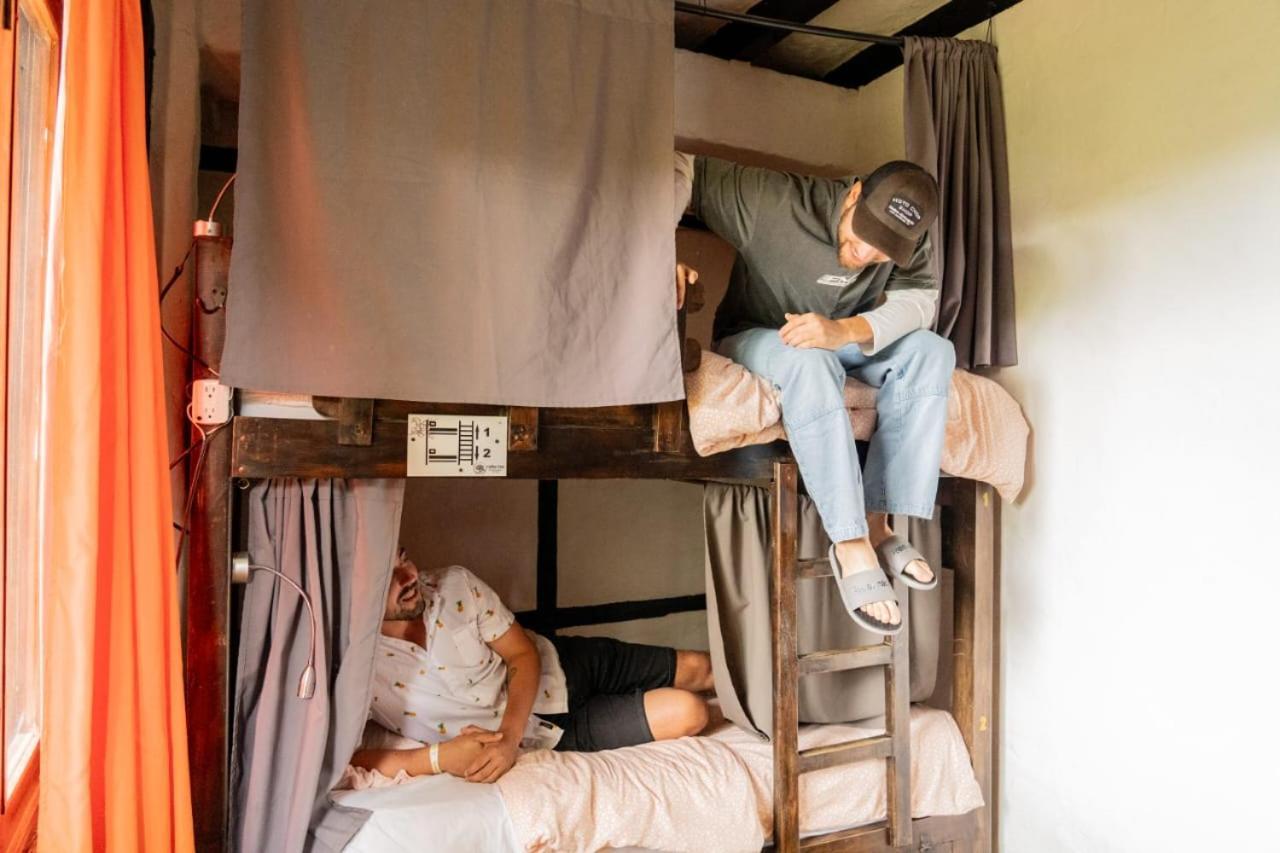 Coffee Tree Boutique Hostel Саленто Экстерьер фото